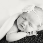 Sadie Rose Willeford