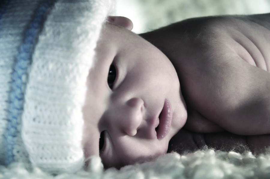 Jude Meriwether Harman
