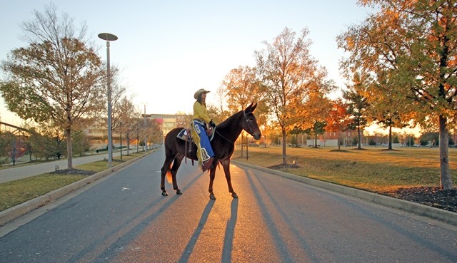 Mulerider goes to the Clinton Library