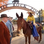 Mulerider at the zoo