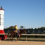 Mulerider trying her speed at Oaklawn